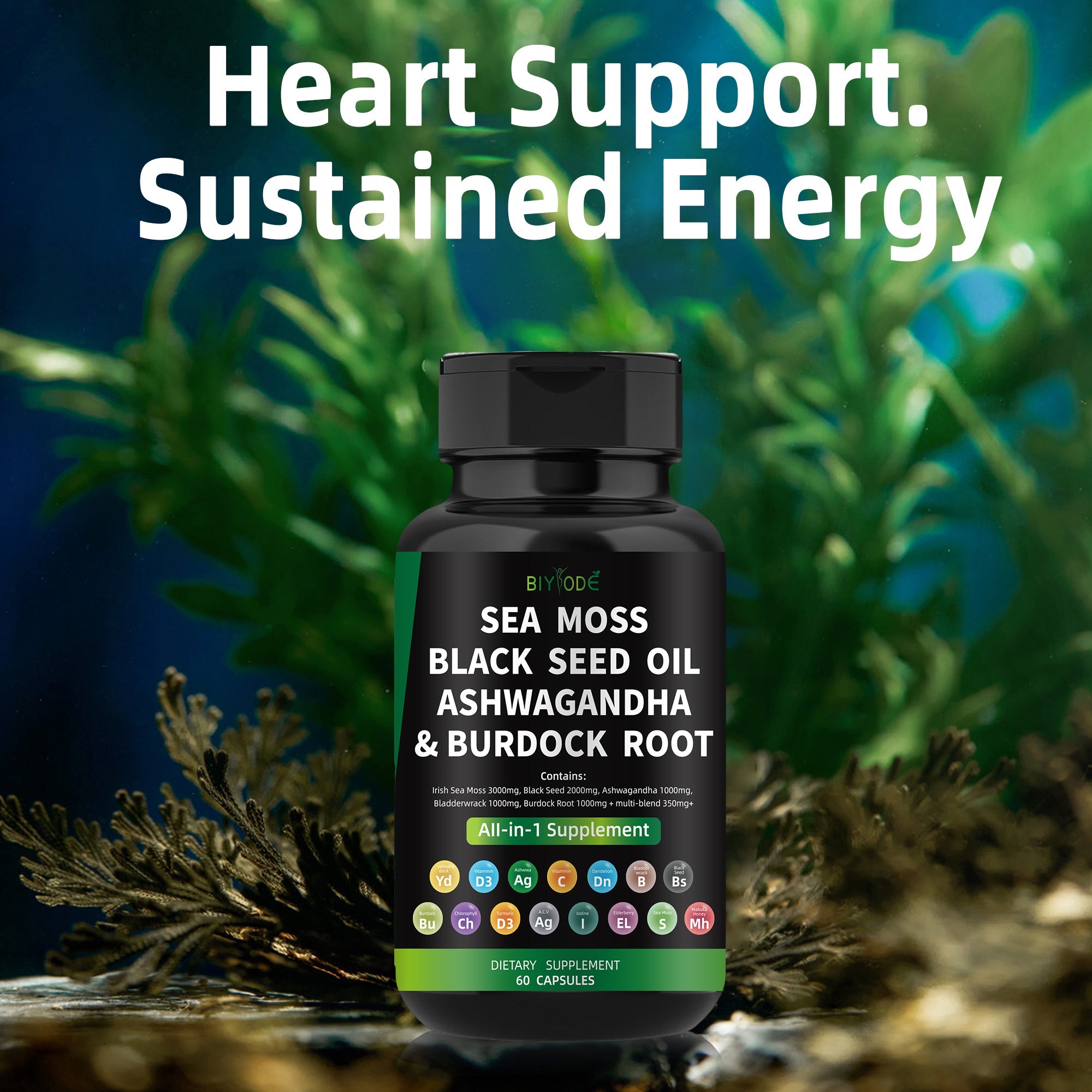 BIYODE  Irish Sea Moss
