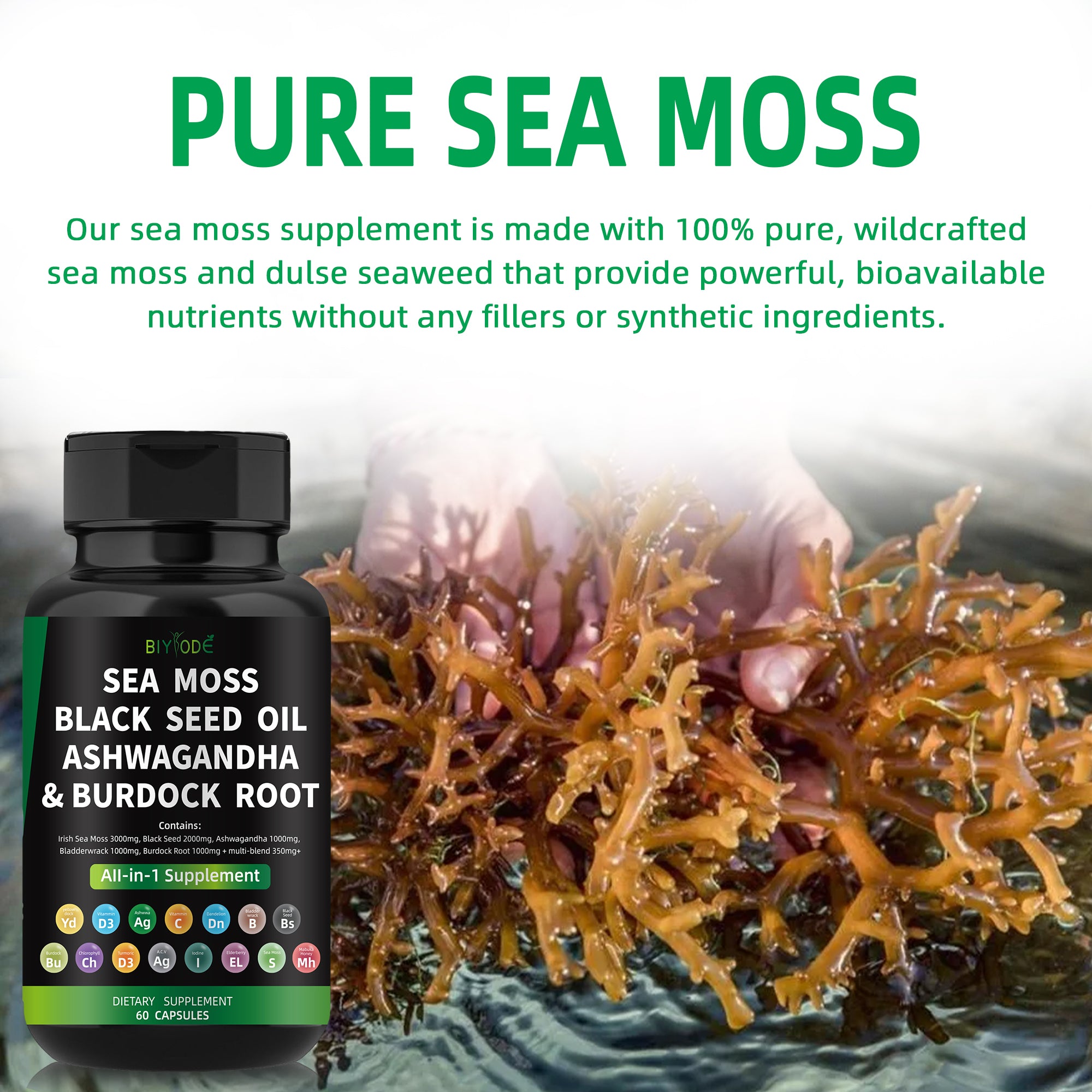 BIYODE  Irish Sea Moss
