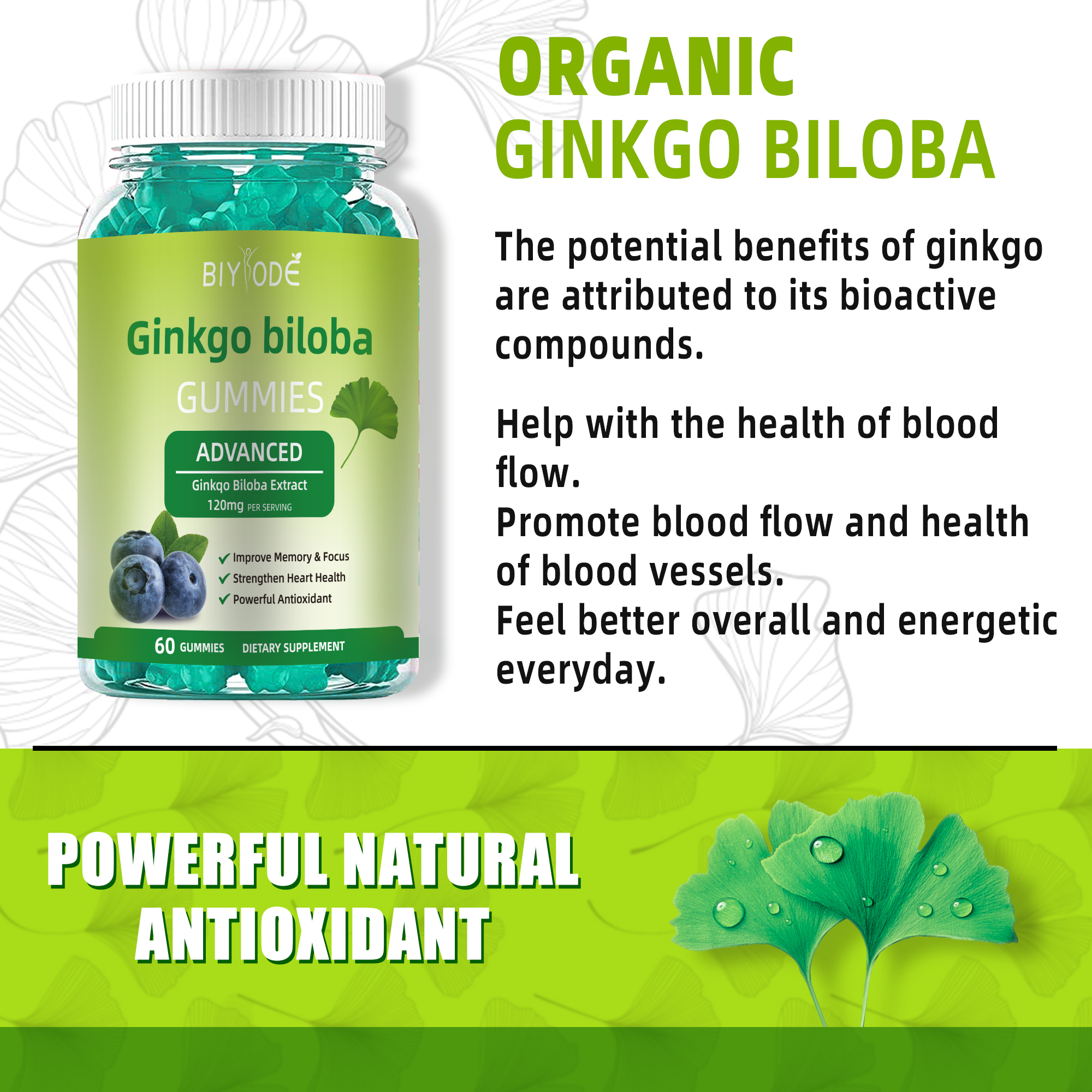 BIYODE Ginkgo Biloba Gummies