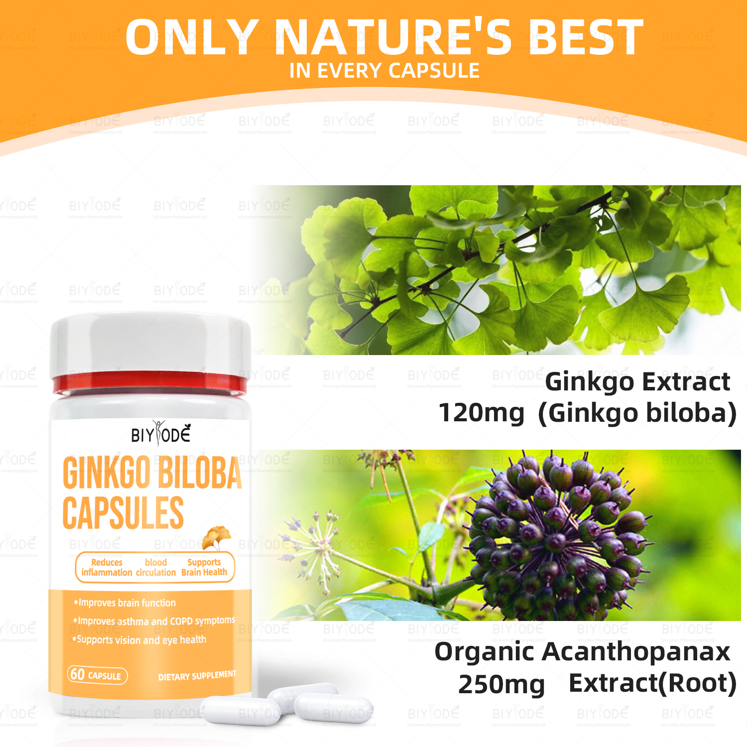 BIYODE Ginkgo Biloba Capsules