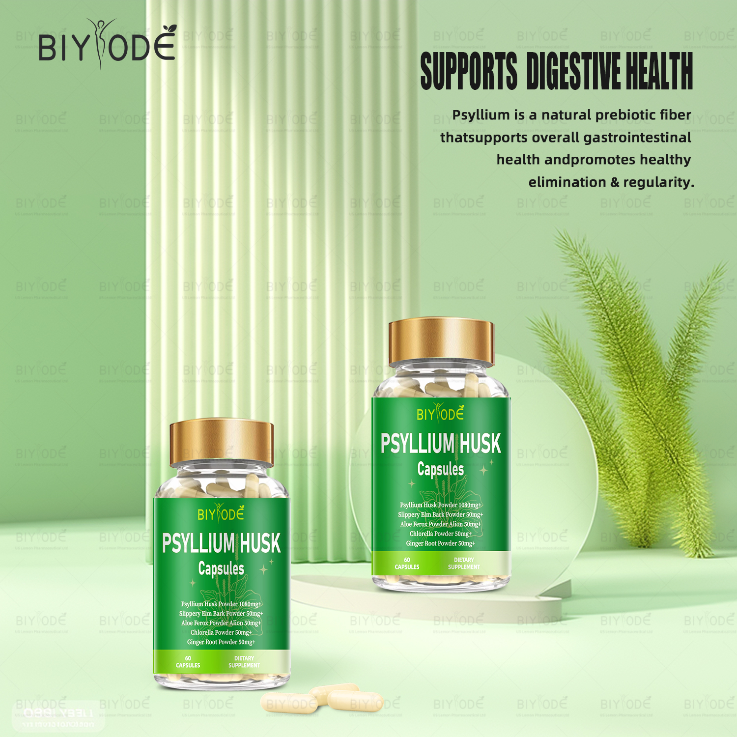 BIYODE Psyllium Husk Capsules
