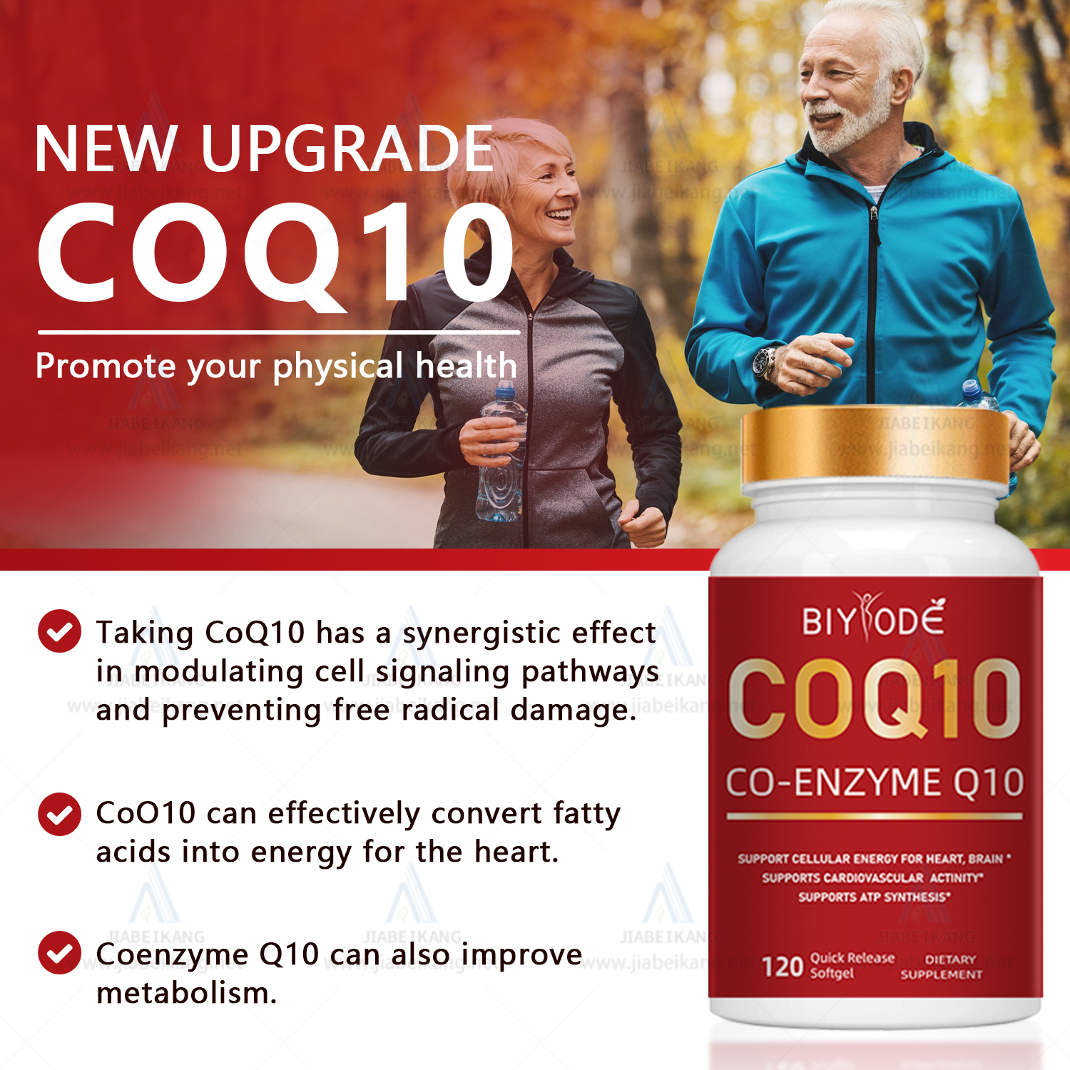 BIYODE COQ10 (Co-Enzyme Q10)