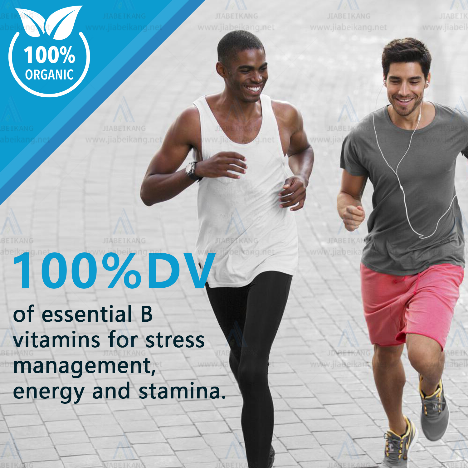 BIYODE Men's Multivitamin