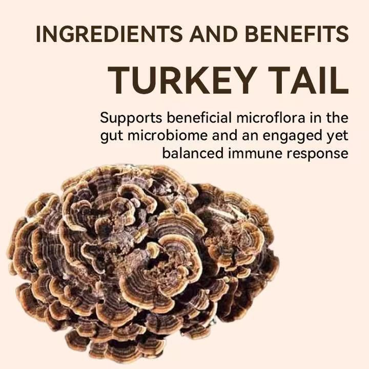 LIFEWORTH Turkey Tail Mushroom Supplement