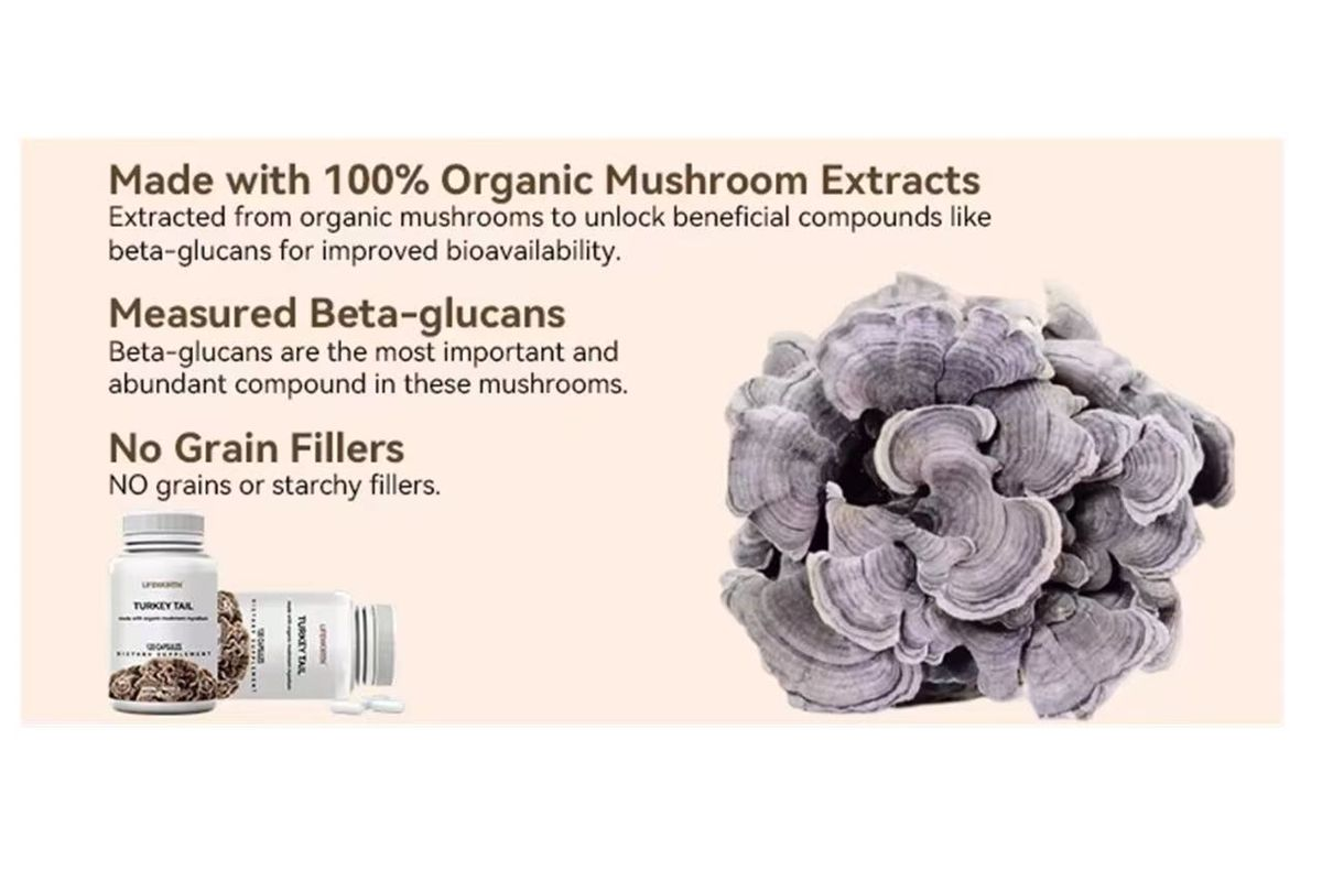 LIFEWORTH Turkey Tail Mushroom Supplement