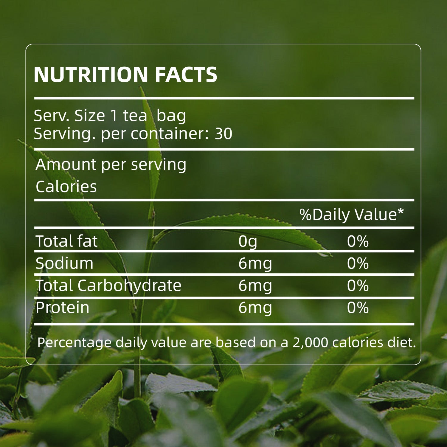BIYODE Pure Green Tea