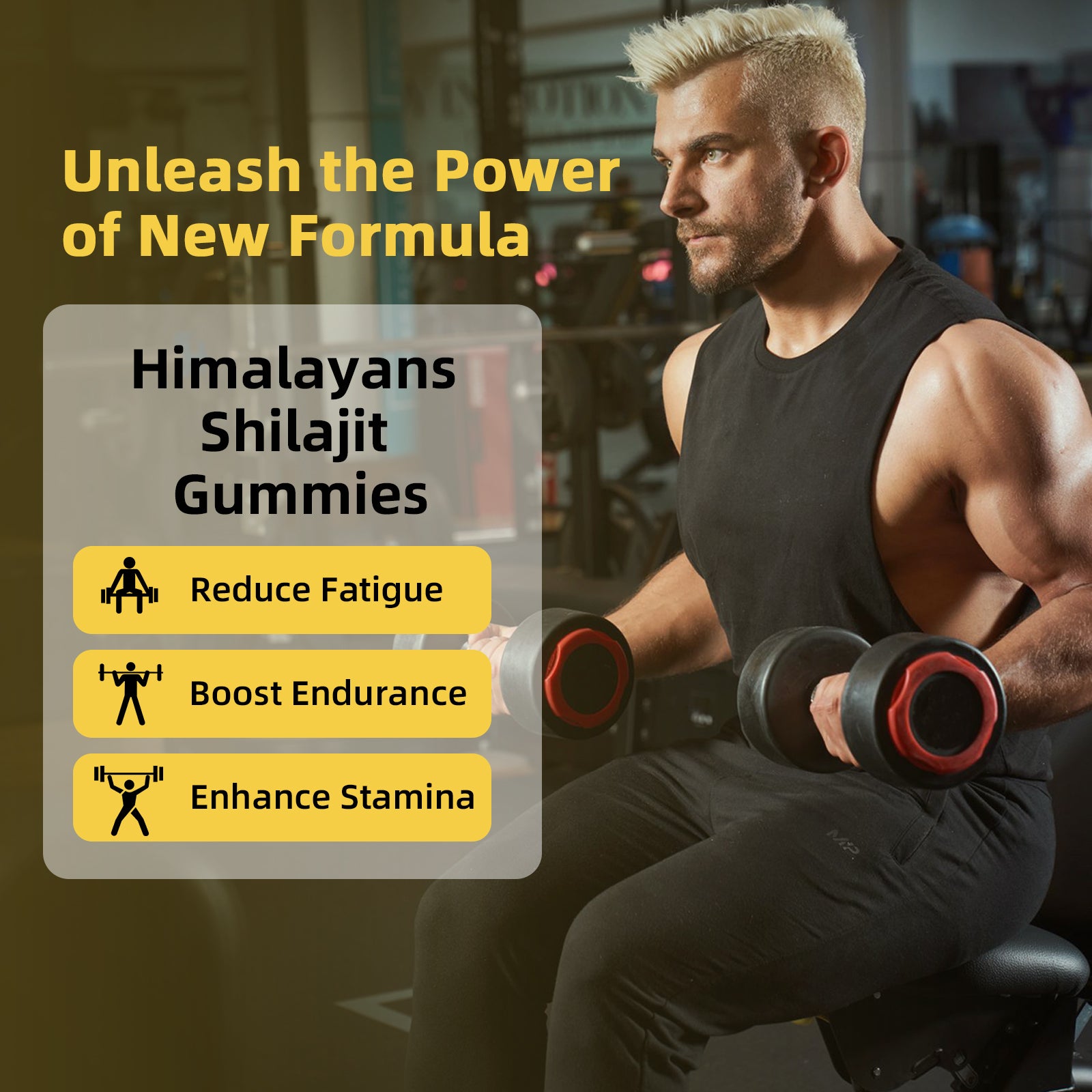 BIYODE Himalayan Shilajit Gummies